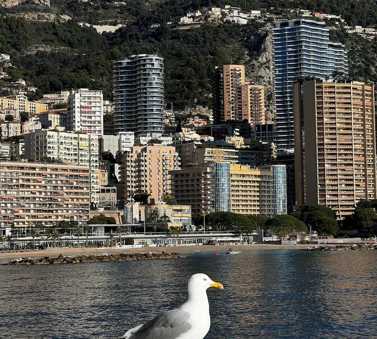Appartement Monaco Palais Josephine Beausoleil
